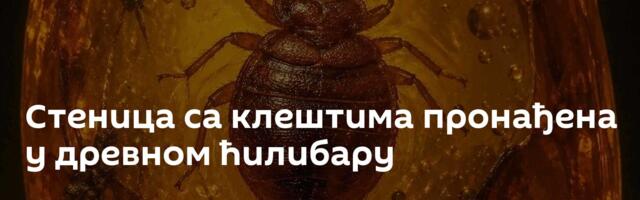 Стеница са клештима пронађена у древном ћилибару