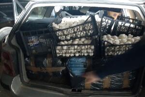 Приведен Србин код Лепосавића, осумњичен за наводни шверц