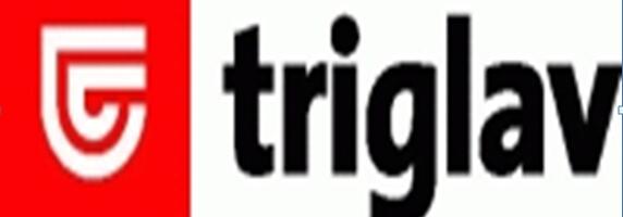 Triglav traži šefa ekspoziture u Leskovcu