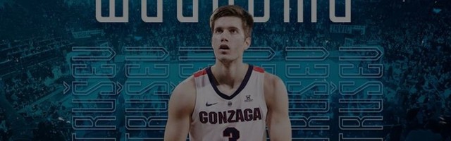 Zvanično: Petrušev u Anadolu Efesu