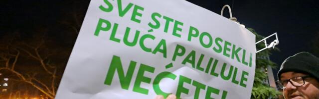 “Nišlije da se pitaju”: Nije pronađena nijedna zgrada sa zakonskim minimumom zelenila