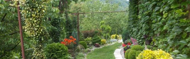 Raspisan nagradni konkurs za izbor najlepšeg dvorišta