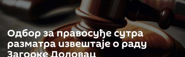 Одбор за правосуђе сутра разматра извештаје о раду Загорке Доловац