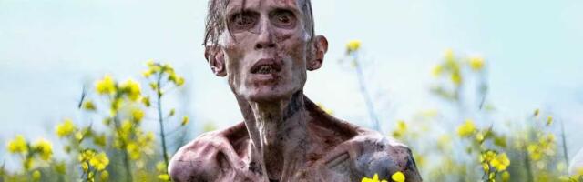 "Hram kostiju" je nadmašio očekivanja: Nikola Popević o filmu "28 godina kasnije"