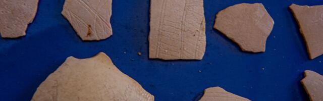 Najstarije geometrijske figure ljudi su gravirali na ljuske nojevih jaja, pokazalo istraživanje