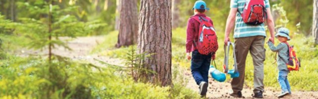 STABLA BUDUĆNOSTI: Šumu zasadi i neguj je!