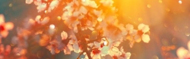 Preostalo je nekoliko dana za doček nove sezone, ovog vikenda dočekaćemo proleće 2021