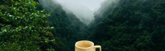 ČAŠA OVOG NAPITKA NA PRAZAN STOMAK UČINIĆE ČUDA ZA ORGANIZAM!  Smanjuje holesterol i pritisak, sprečava infarkt!