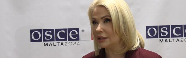 Božić: Tema Kosova vraćena u multilateralne organizacije, svi shvataju težinu položaja Srba!