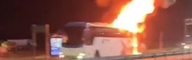 Drama kod Surčina! Zapalio se autobus, vatrena stihija guta vozilo, vatra i dim dostigli ogromnu visinu (VIDEO)