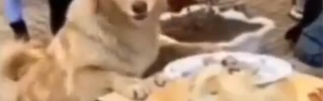 Direktor doneo PEČENJE DA POTKUPI ivanjičke đake, a dobio HIT lekciju za pamćenje (VIDEO)
