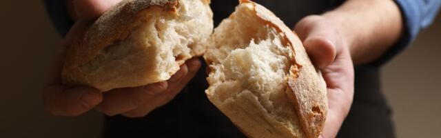 Zgrozili ste se kad je Šapčanin u hlebu pronašao flaster: Sada će vam se utroba okrenuti od gađenja