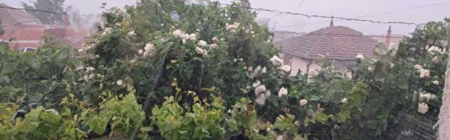 Stravična oluja pogodila jug Srbije: Počeo da tutnji i grad, olujni vetar prekinuo internet i kablovsku televiziju u nekim delovima grada (FOTO/VIDEO)