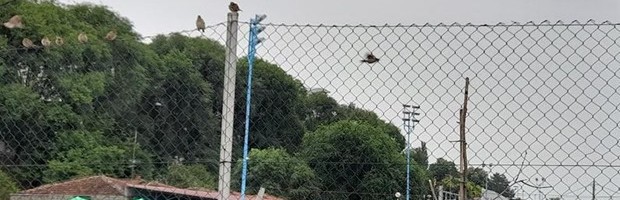 JOŠ DANAS KIŠA–OD SUTRA RAZVEDRAVANJE