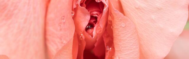7 navika zbog kojih vaša vagina ima loš miris