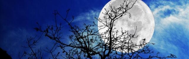 Stiže pun Mesec u Blizancima! 4 znaka neka se spreme za kraj životnog ciklusa 15. decembra