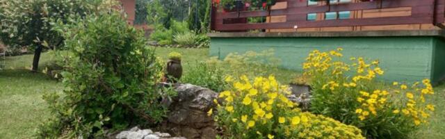 Do 23. juna prijave na Javni konkurs za izbor najlepšeg dvorišta