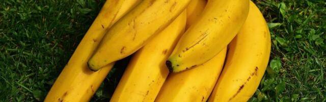 Banane više ne moraju da trule: Ovaj kuhinjski trik menja sve