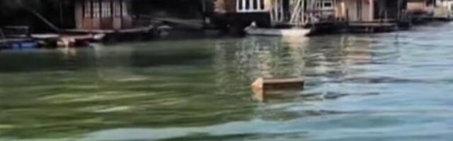 UŽAS NA OBALI SAVE: Telo muškarca pronađeno kod poznatog splava