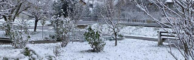 Vozači, ako krećete na put – ovo obavezno treba da znate