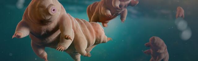 Ipak nisu neuništivi: Konačno pronađeno nešto što ova neverovatno izdržljiva bića ne mogu da prežive