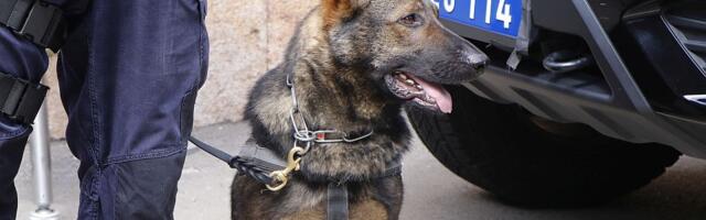 Policija traga za starijom ženom koja se izgubila u Zvezdarskoj šumi