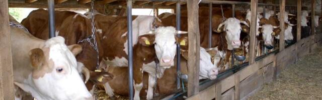 Ministar poljoprivrede u Dragačevu: Srbija ima najveće podsticaje u stočarstvu na svetu