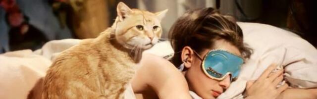 Za svoje sledeće putovanje – iznajmite luksuznu kuću iz kultnog filma „Breakfast at Tiffany’s“