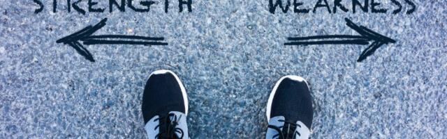 Prednosti i slabosti svakog znaka