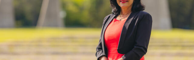 Kerković: Da zagađenje vazduha bude kapitalna investicija Niša