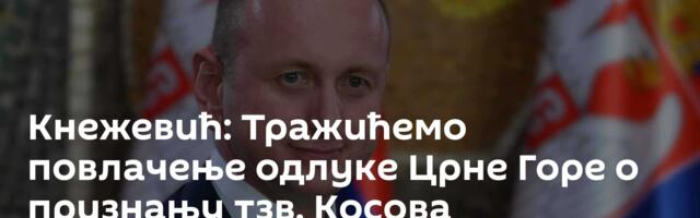 Кнежевић: Тражићемо повлачење одлуке Црне Горе о признању тзв. Косова