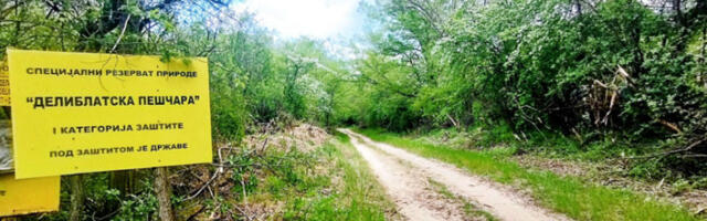 Челичне ветрењаче отерале пчеле и пчеларе из пешчаре