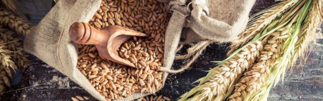 4 najzdravije namirnice na svetu