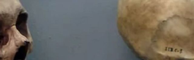 Odneo je u crkvu, ali je sutradan nestala, a decenijama kasnije procurila su objašnjenja!