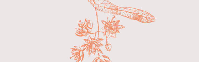 Program SKC-a za ovu nedelju