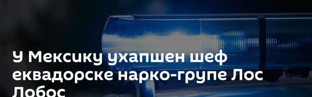 У Мексику ухапшен шеф еквадорске нарко-групе Лос Лобос