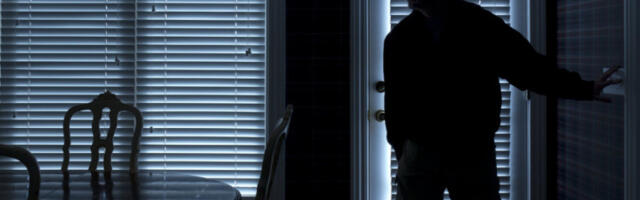 UKRADENO SEDAM VREDNIH UMETNIČKIH SLIKA! Lopov iznajmio stan u Trebinju, pa ga opustošio!