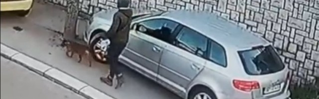 ŠOKANTAN SNIMAK SA SLANAČKOG PUTA! Automobili zauzeli trotoar, a onda je osoba koja je šetala psa URADILA NEŠTO NEOČEKIVANO!