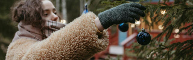 Праве или пластичне јелке: научници о стварном утицају на животну средину