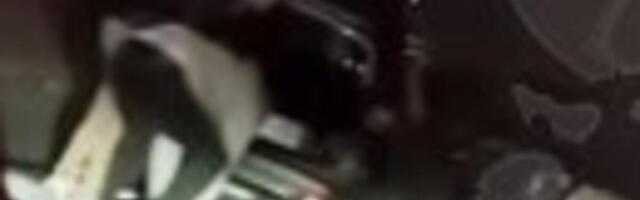 Krenuli u Nemačku sa 25.000 evra u kešu, pa...Završili pokradeni, u nesvesti nasred puta, a pakao ih je tek čekao!