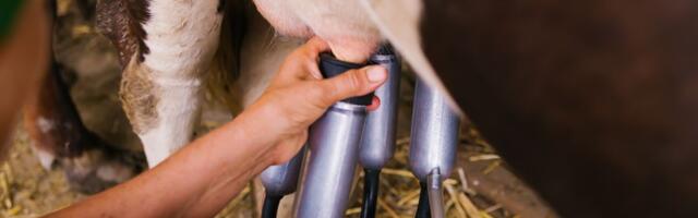 Proizvođači mleka privremeno obustavili blokade!