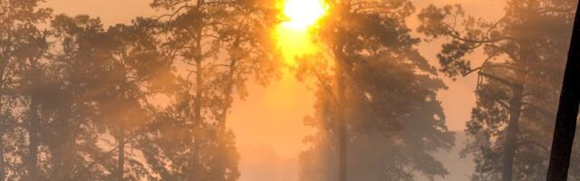 Šta bi se dogodilo kada bi Sunce iznenada nestalo: U prvih osam minuta sve bi izgledalo isto, a onda bi usledila prva velika promena