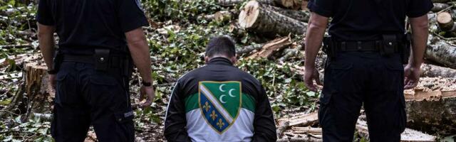 Šumska krađa u Sandžaku: uhapšen prodavac drva bez dozvole