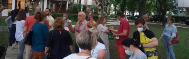 Na Dorćolu žele da poseku stabla kako bi napravili dvosmernu ulicu, stanari Solunske: Telima ćemo braniti drveće ako treba