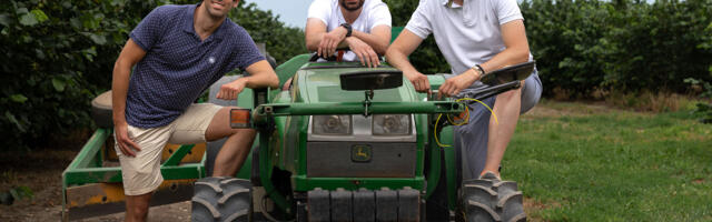 Kupiš token i postaneš vlasnik stabala lešnika: Ovo je sledeći korak domaće kompanije Treesury