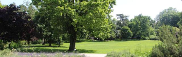 Novi Sad dobija "zelene sobe"