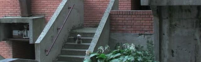 Glas ženskim fantazijama u društvu koje želi da disciplinuje: Premijera filma „Histerični napad smeha“ u Muzej moderne umetnosti u Njujorku