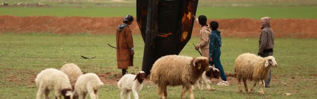 Obrnuti inženjering: Iran koristi neeksplodirane američke projektile za istraživanje
