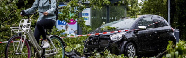 U oluji u Holandiji drvo usmrtilo vozača automobila