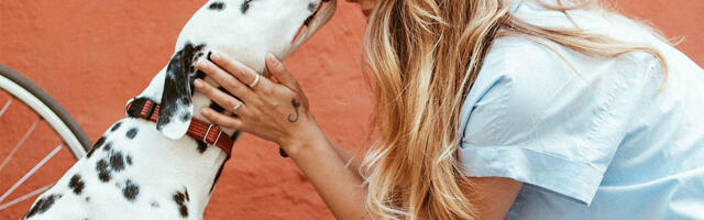 Porez na pse u Srbiji – Uvodi se